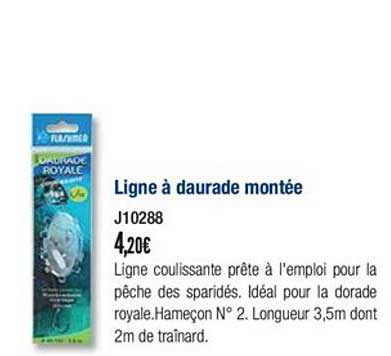 ligne à daurade montée