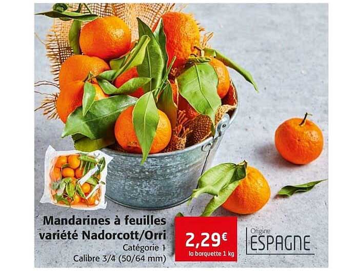 mandarines à feuilles variété nadorcott - orri