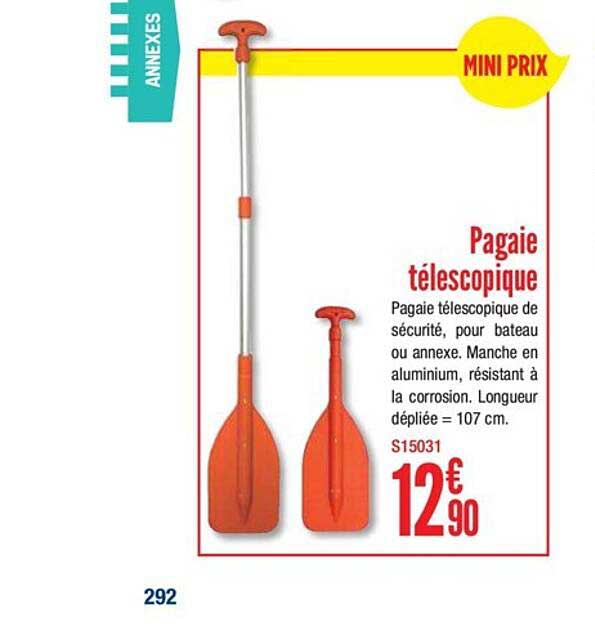 pagaie télescopique