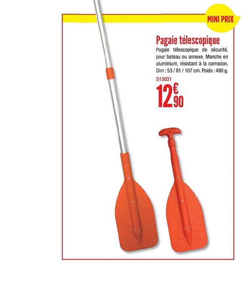 pagaie télescopique