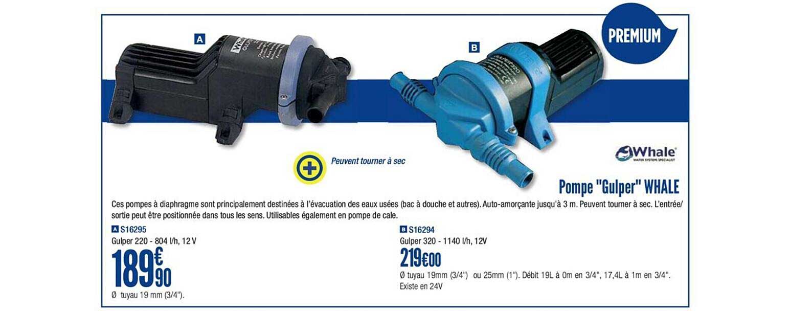 pompe gulper whale