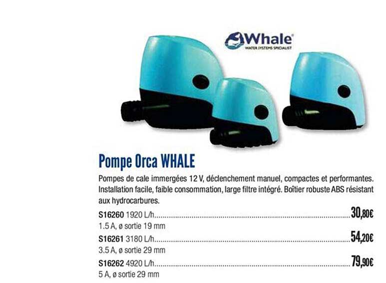 pompe orca whale
