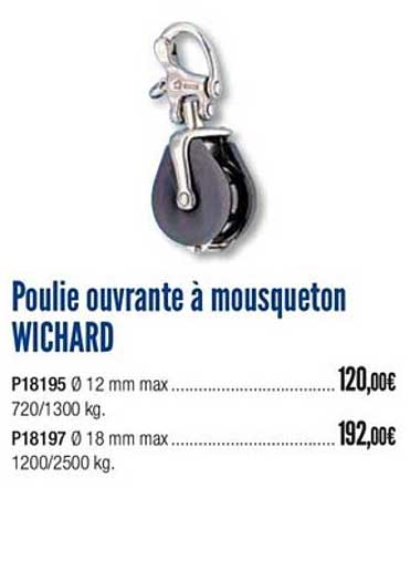 poulie ouvrante à mousqueton wichard