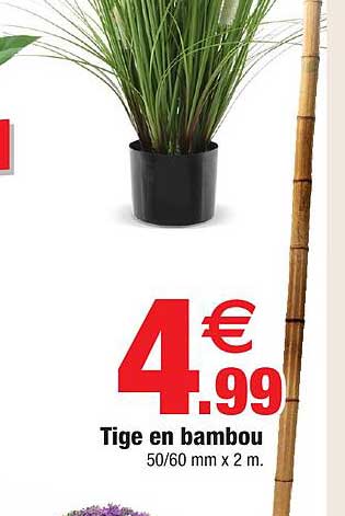 tige en bambou