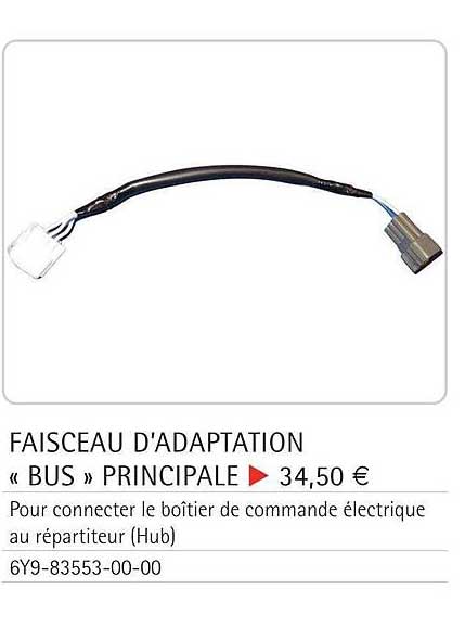 faisceau d'adaptation «bus» principale