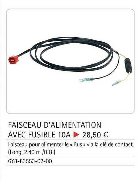 faisceau d'alimentation avec fusible 10a