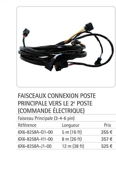 faisceaux connexion poste principale vers le 2e poste (commande électrique)