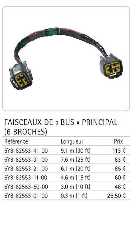 faisceaux de «bus» principal (6 broches)
