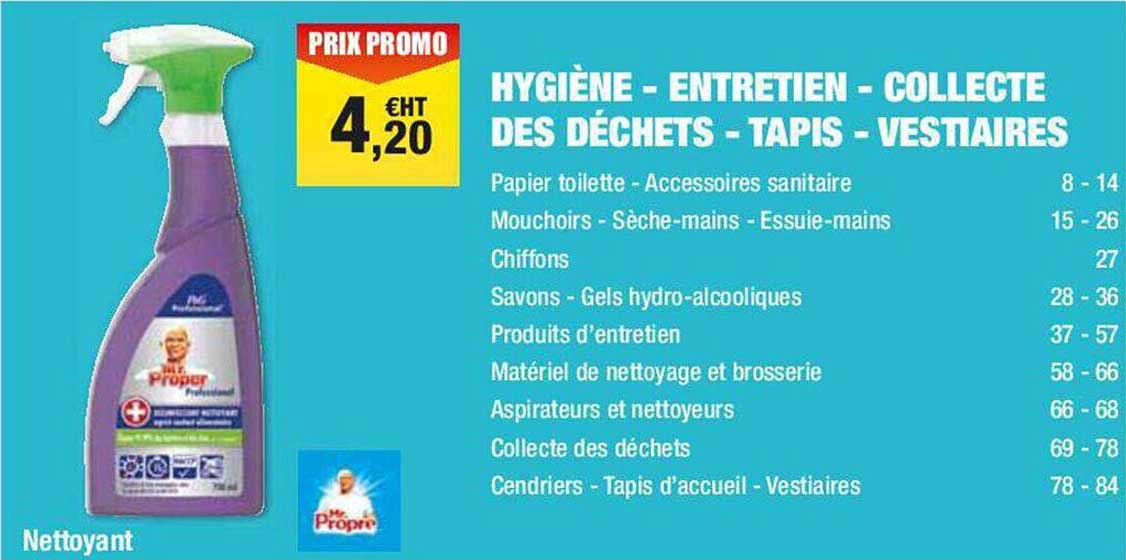 hygiène - entretien - collecte des déchets, tapis - vestiaires mr propre