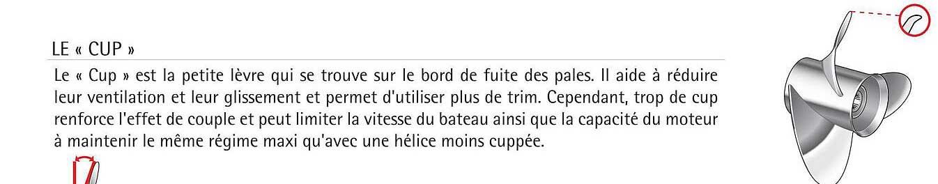 Le «cup»
