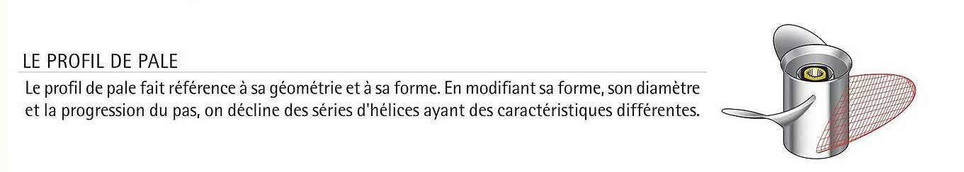 le profil de pale