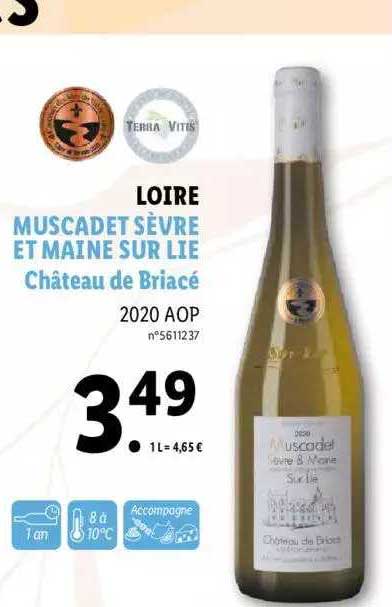 loire muscadet sèvre et maine sur lie château de briacé