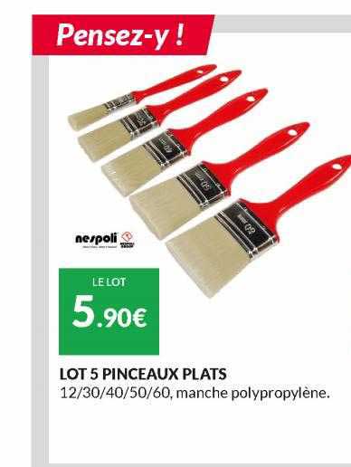 Lot 5 Pinceaux Plats Nespoli