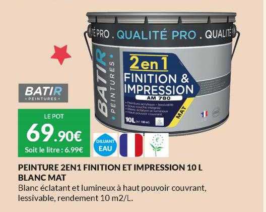 peinture 2 en 1 finition et impression 10 l blanc mat