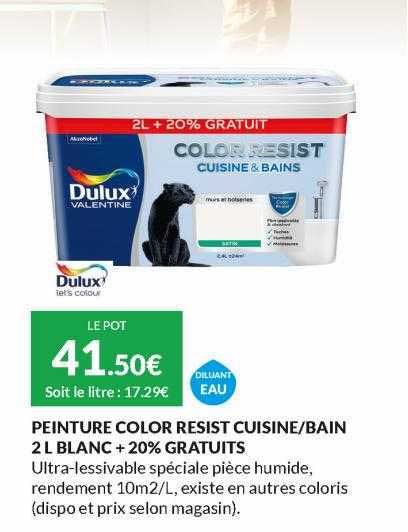 peinture color resist cuisine - bain 2l blanc + 20% gratuits