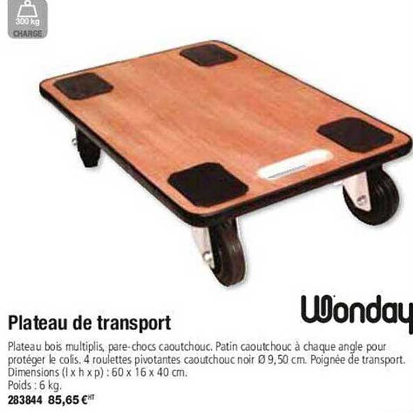 Plateau De Transport Wonday