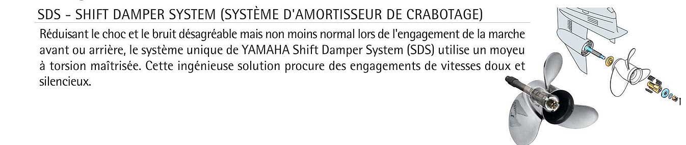 sds - shift damper system (système d'amortisseur de crabotage)