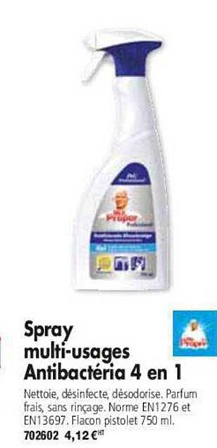 spray multi-usages antibactéria 4 en 1 mr propre