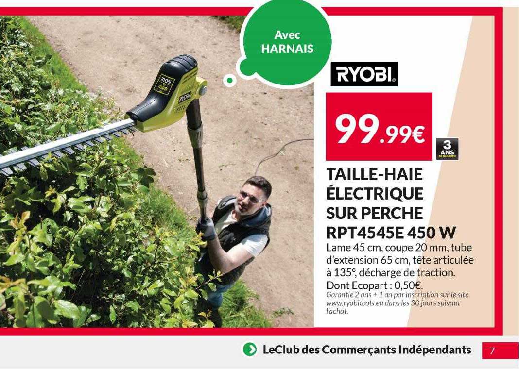 taille-haie électrique sur perche rpt4545e 450 w ryobi