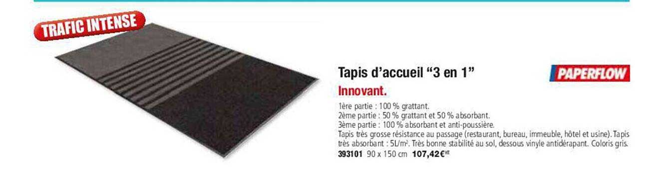 tapis d'accueil "3 en 1"
