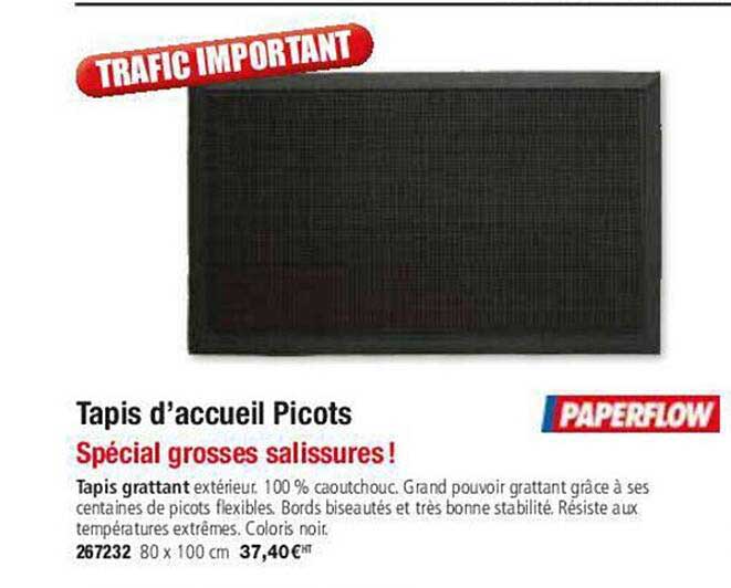 tapis d'accueil picots