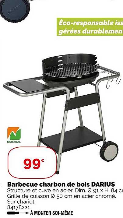 barbecue charbon de bois darius