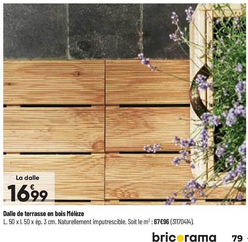Dalle De Terrasse En Bois Mélèze