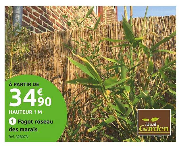 fagot roseau des marais