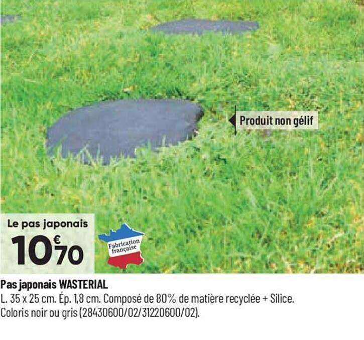 pas japonais wasterial