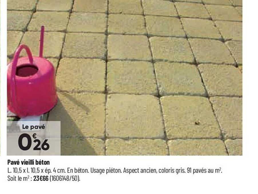 Pavé Vieilli Béton