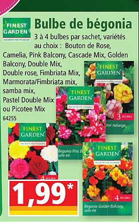 bulbe de bégonia finest garden