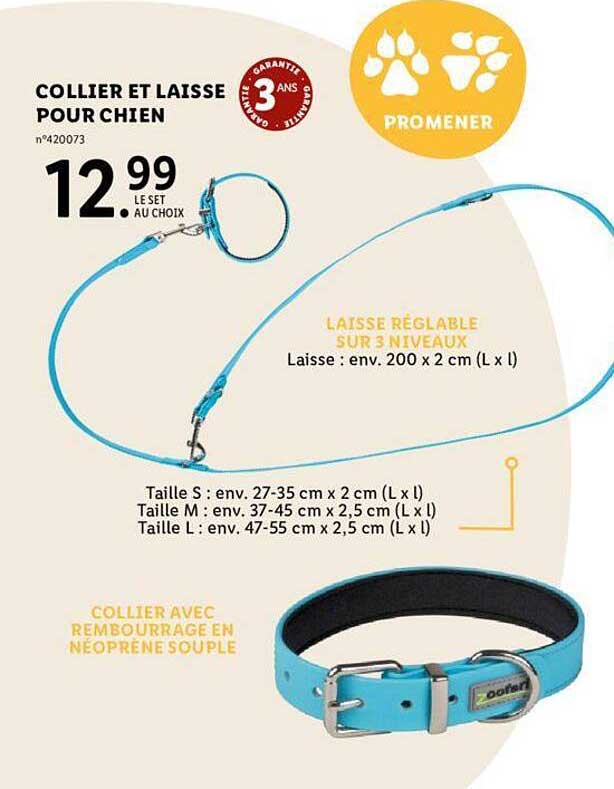 Collier Et Laisse Pour Chien
