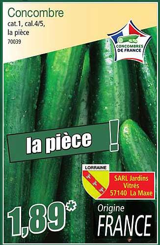 Concombre