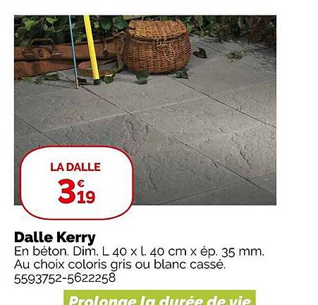 dalle kerry