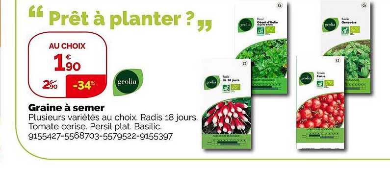 graine à semer geolia