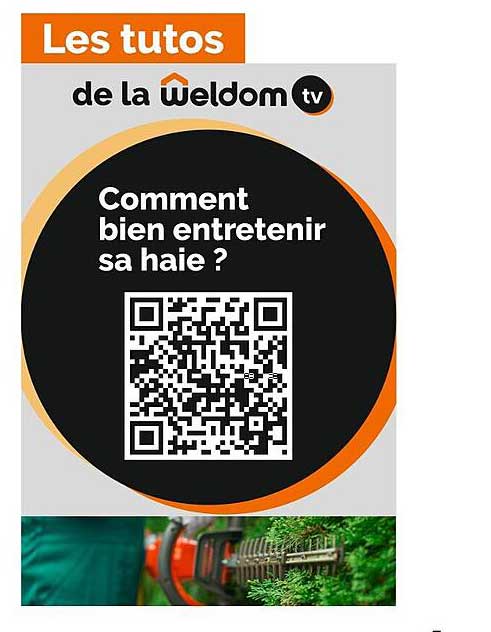 Les Tutos De La Weldom