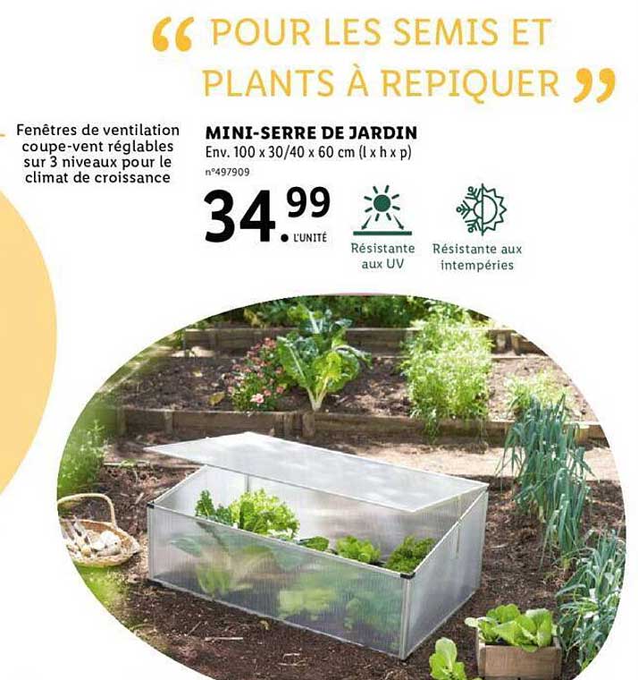 mini-serre de jardin