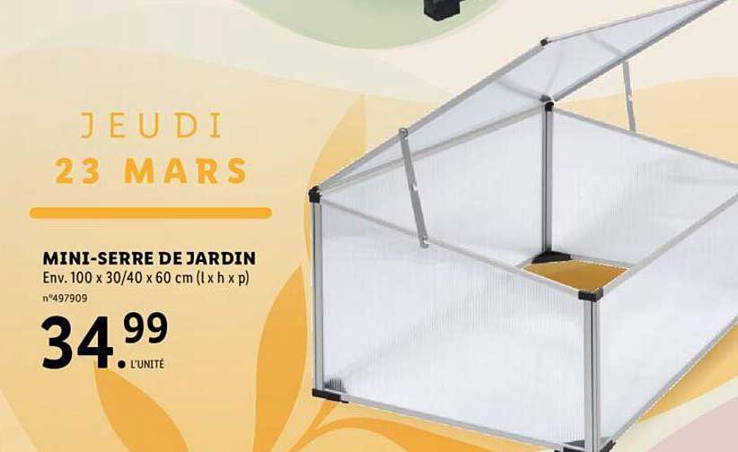 mini-serre de jardin