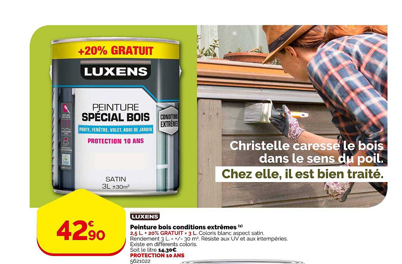 peinture bois conditions extrêmes luxens