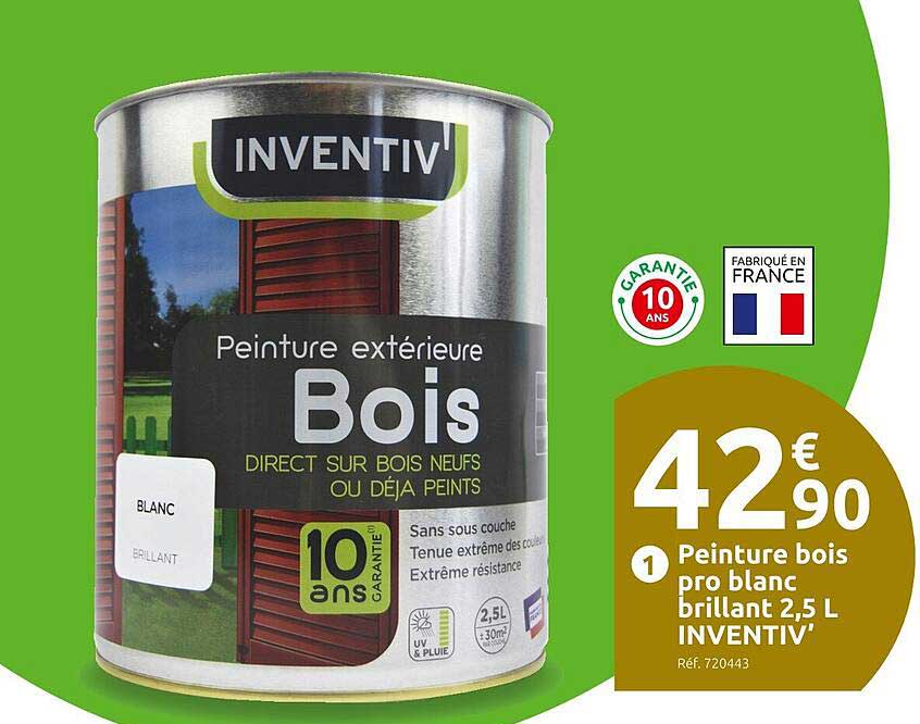 peinture bois pro blanc brillant 2,5l inventiv