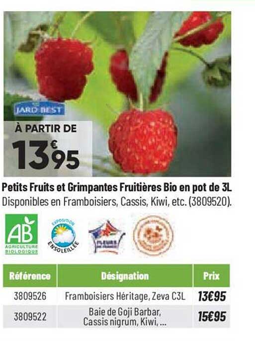 petits fruits et grimpantes fruitières bio en pot de 3l jardi best
