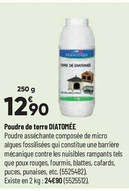 poudre de terre diatomée