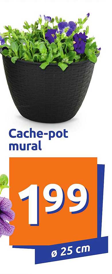 cache-pot mural
