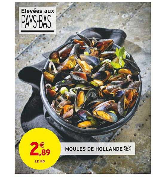 Moules De Hollande