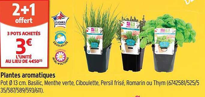 Plantes Aromatiques