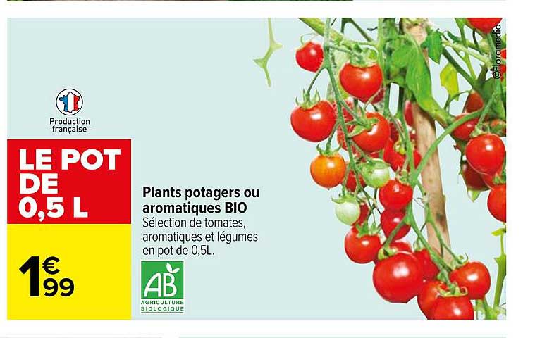 plants potagers ou aromatiques bio