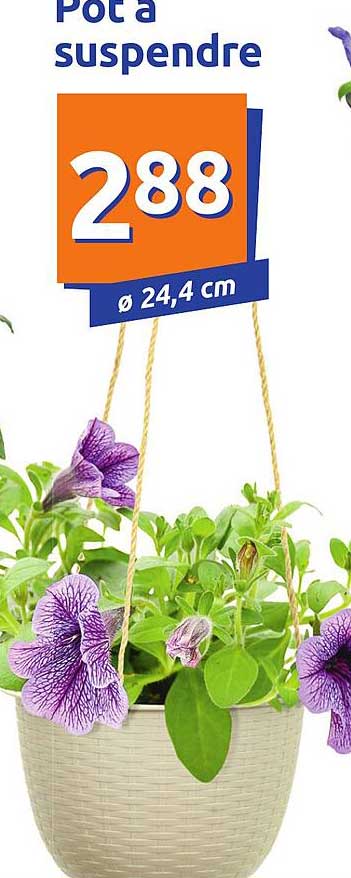 Pot à Suspendre