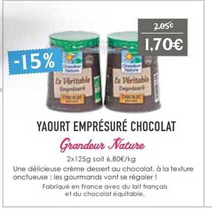 yaourt emprésuré chocolat grandeur nature