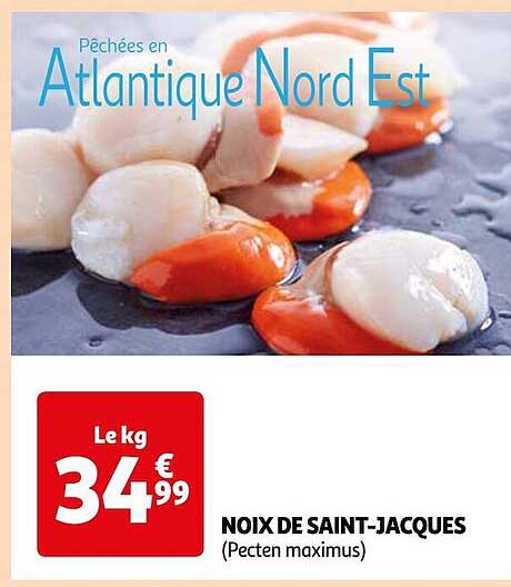 noix de saint-jacques