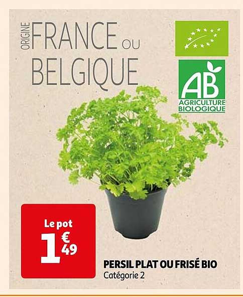 persil plat ou frisé bio